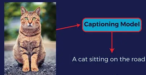 Image Caption Generator
